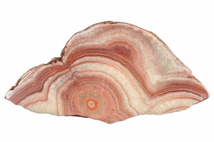Polished Potato Agate Slice - England #283059